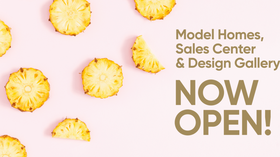 Model Homes, Sales Center & Design Gallery Are Now Open!