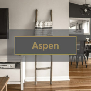 Aspen Interior Style
